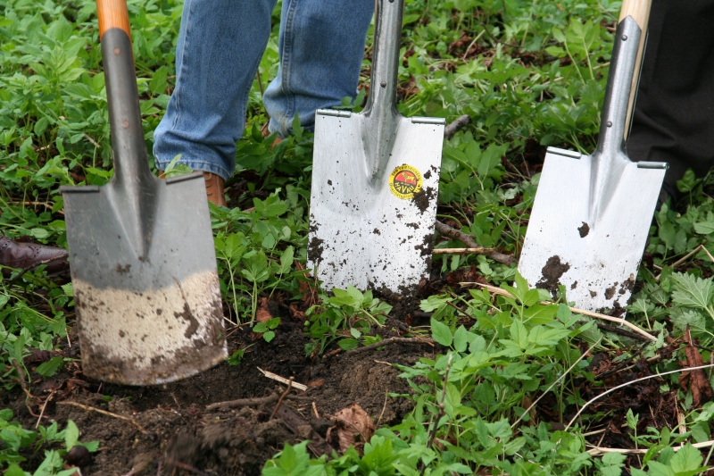 pepiniere-LE BEAUSSET-min_work-lawn-flower-tool-green-backyard-1103633-pxhere.com